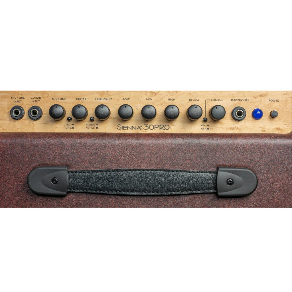 Kustom Sienna Pro Acoustic Amp 1 x 10" with Chorus/Reverb ~ 30W - Image 3